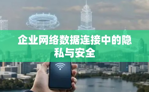企业网络数据连接中的隐私与安全