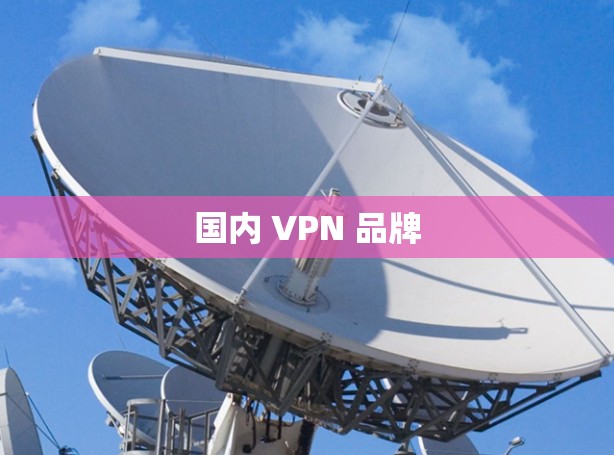 国内 VPN 品牌