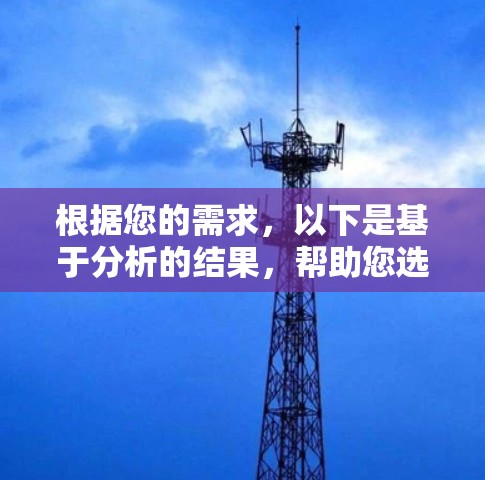 根据您的需求，以下是基于分析的结果，帮助您选择一个合适的VPN服务