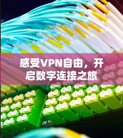 感受VPN自由，开启数字连接之旅