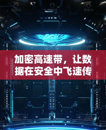 加密高速带，让数据在安全中飞速传递